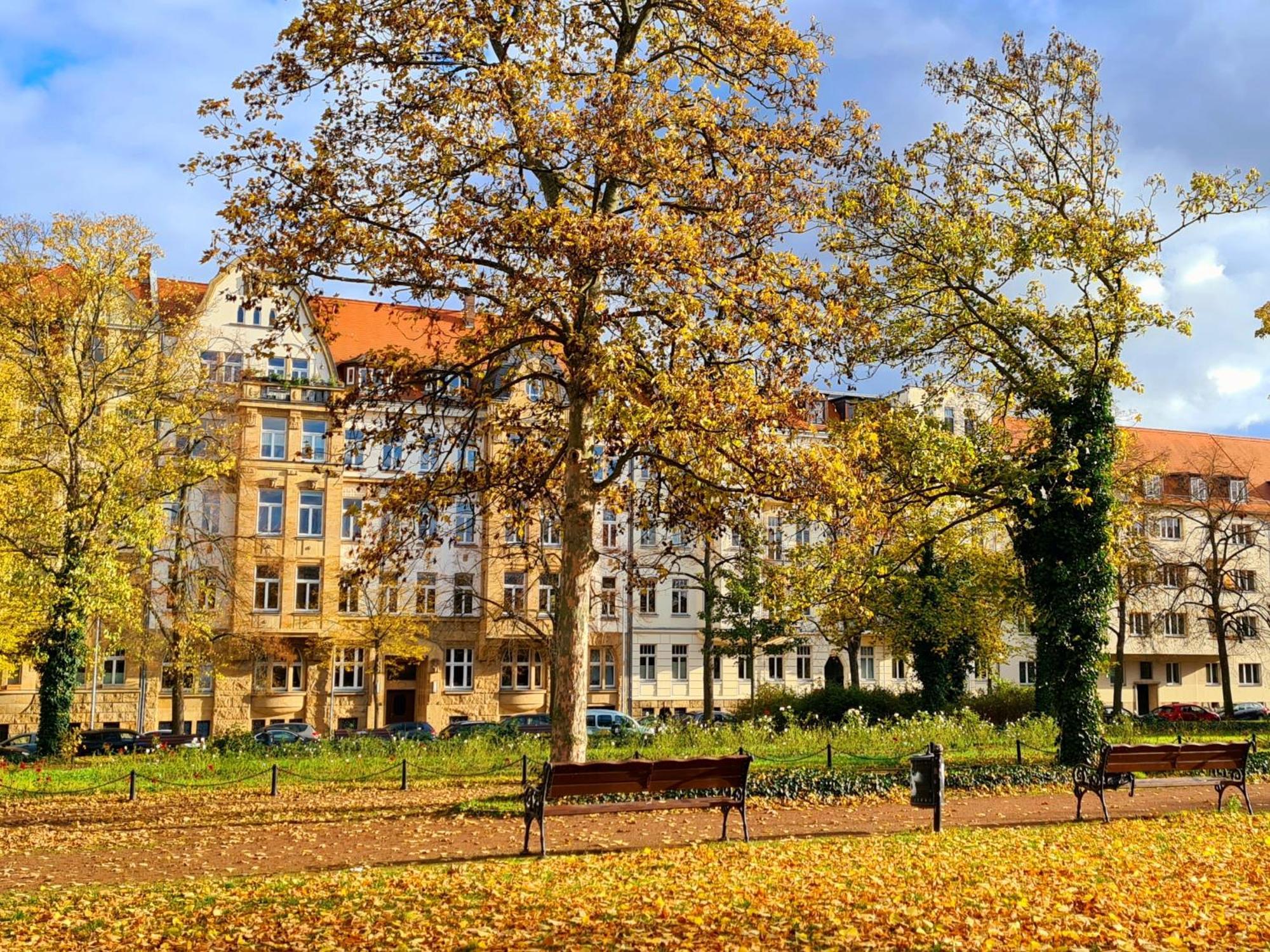 Kleinod Am Park - Zentrum-Suedost Apartment Leipzig Bagian luar foto